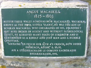 Giant Macaskill